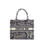 Small Dior Book Tote