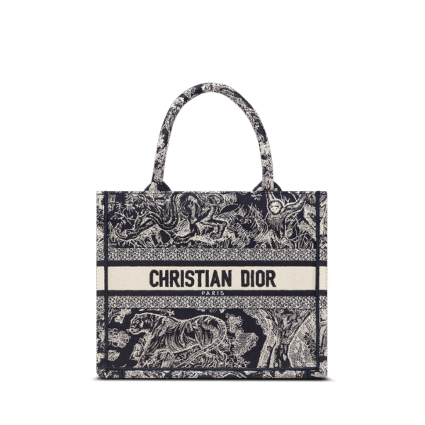Small Dior Book Tote